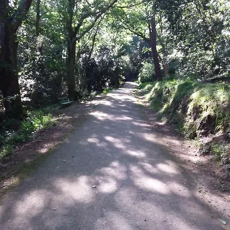 3 Allee De L'oree Du アパート *